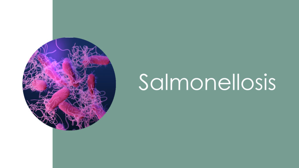 Salmonellosis3