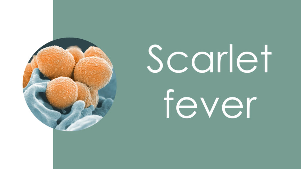 Scarlet fever5