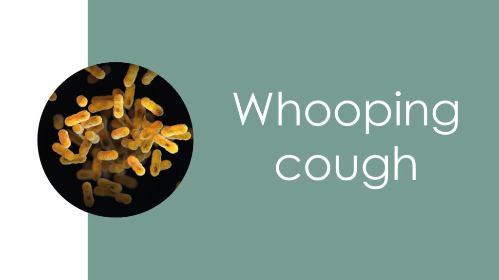 Whooping cough5