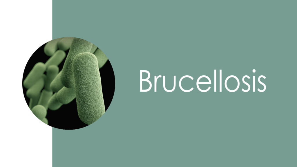 Brucellosis