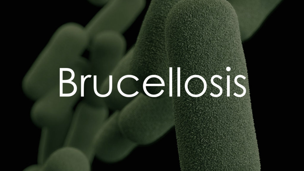 Brucellosis 2