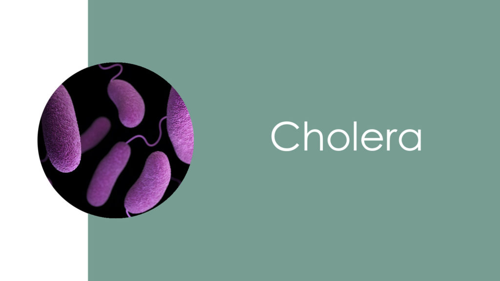 Cholera 3