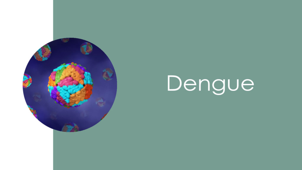 Dengue2