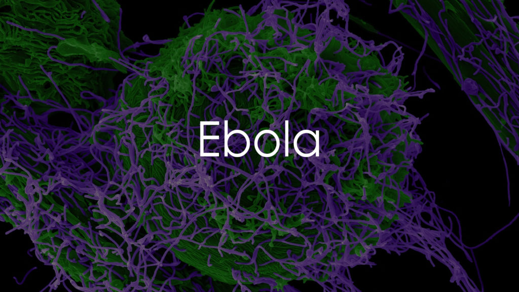 Treatment of Ebola