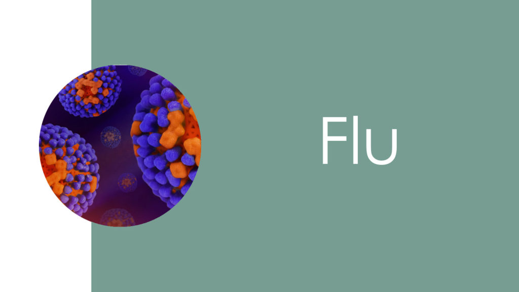 Flu 2