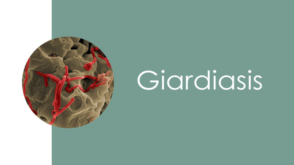 Giardiasis2