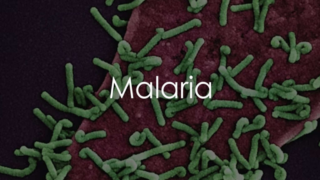 Malaria