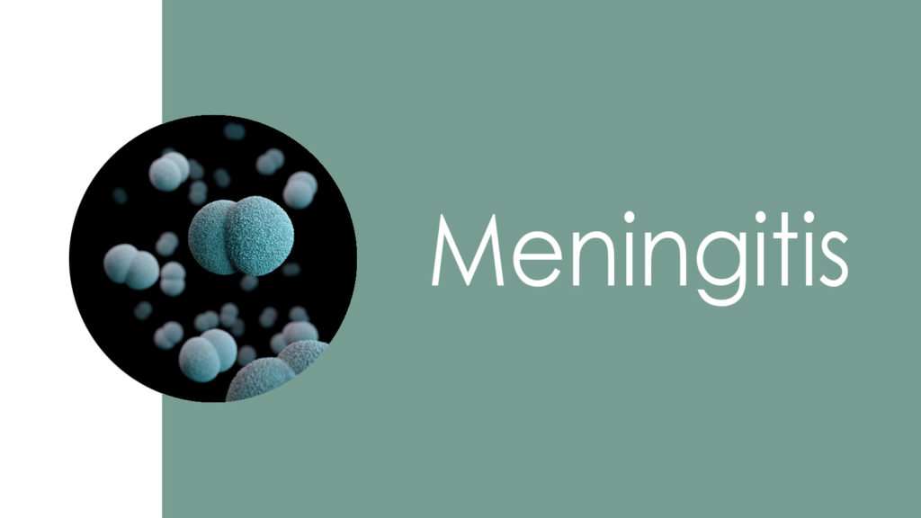 Meningitis2