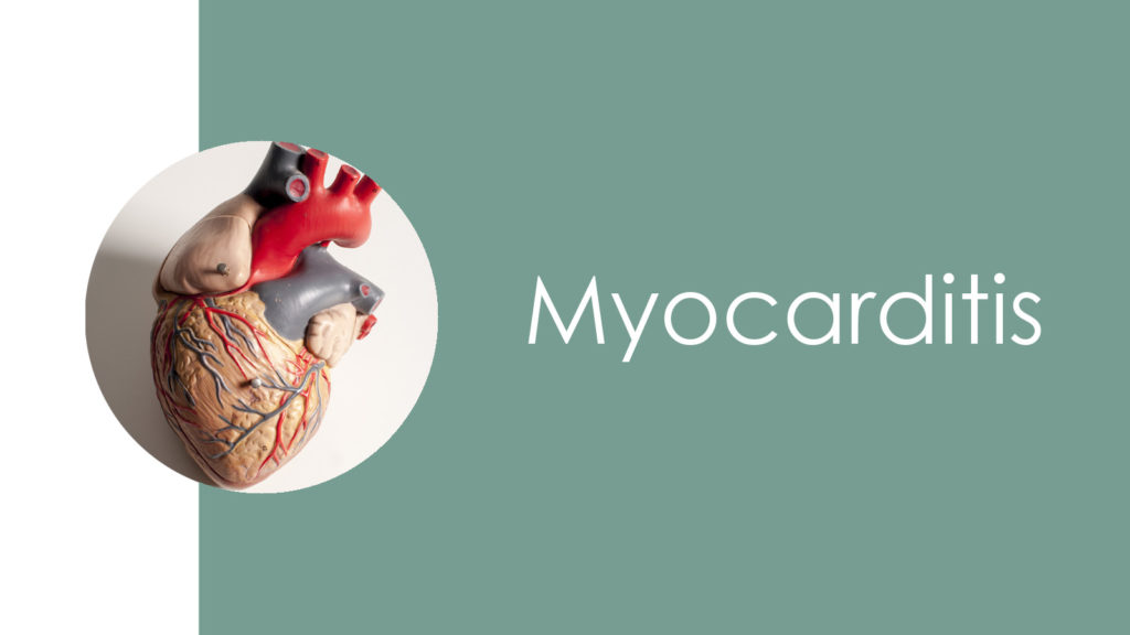 Myocarditis2