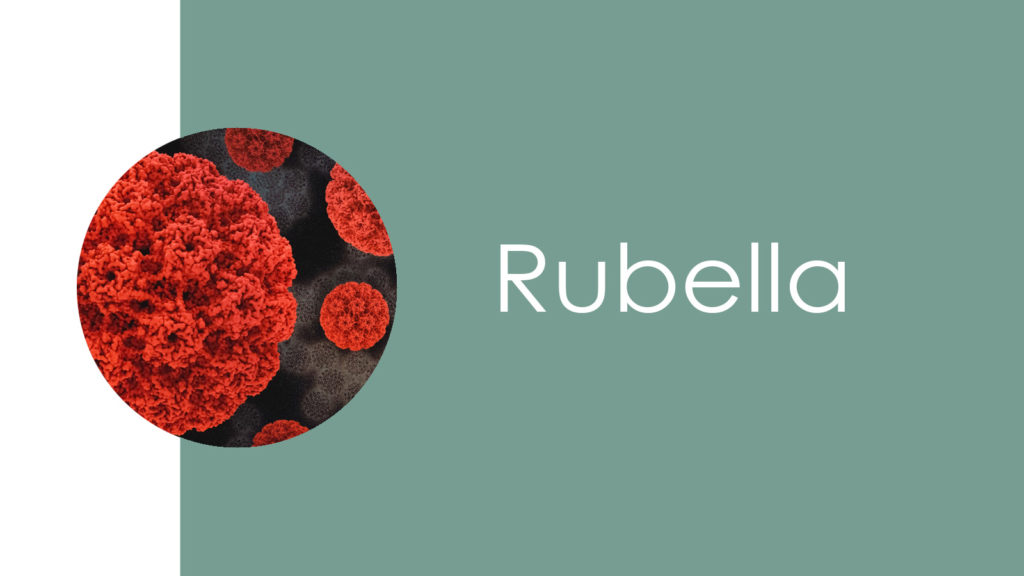 Rubella2