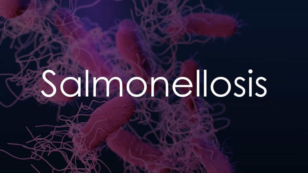 Salmonellosis