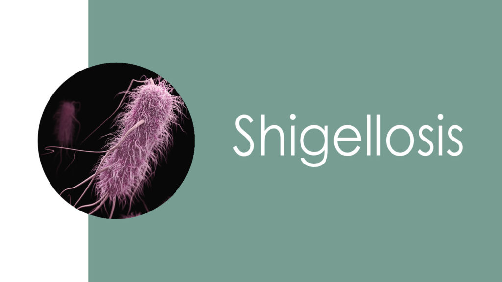 Shigellosis2