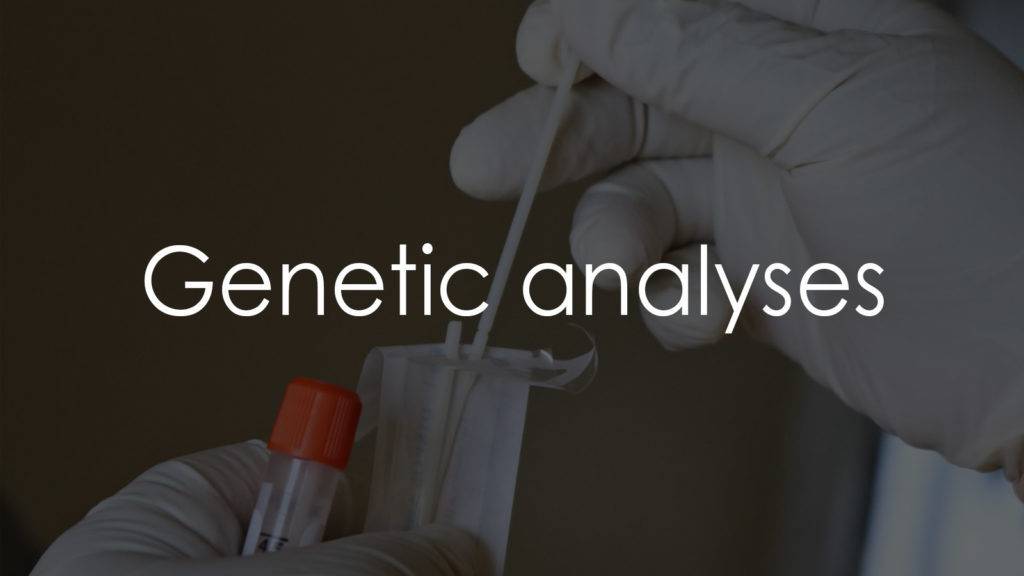 Genetic analyses