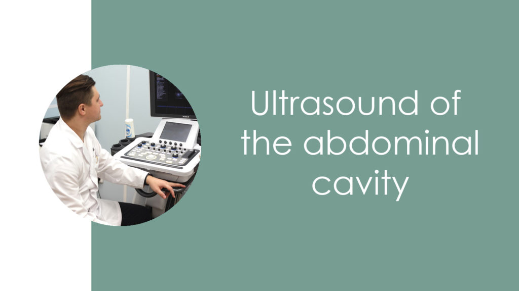 Ultrasound of the abdominal cavity 2