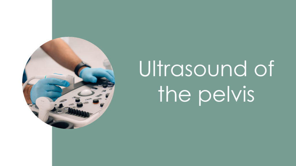 Ultrasound of the pelvis2