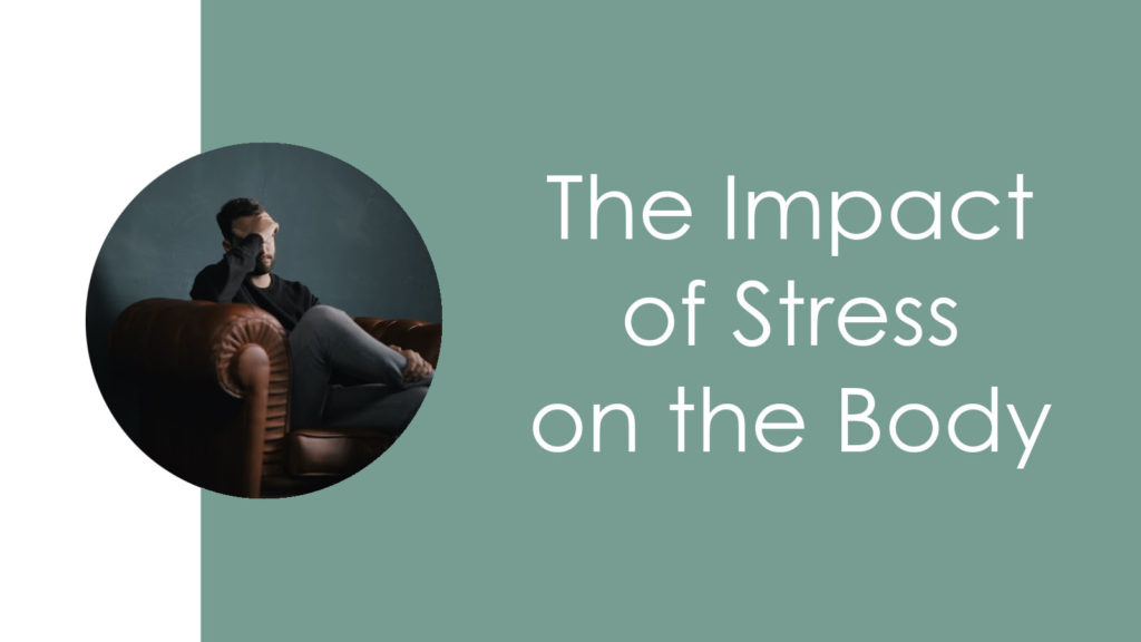 The Impact of Stress on the Body