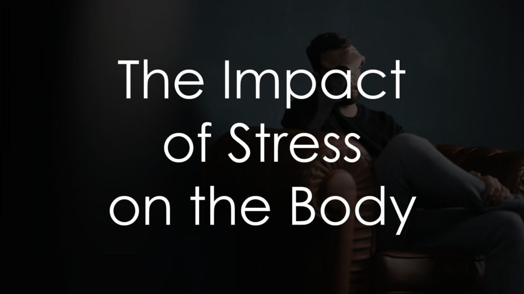 The Impact of Stress on the Body