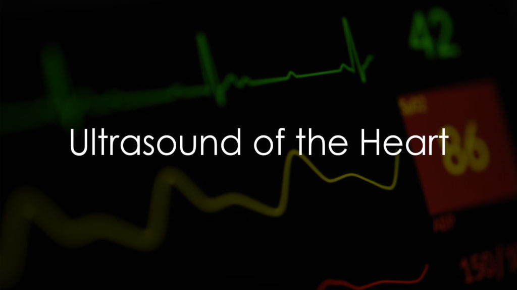 Ultrasound of the Heart