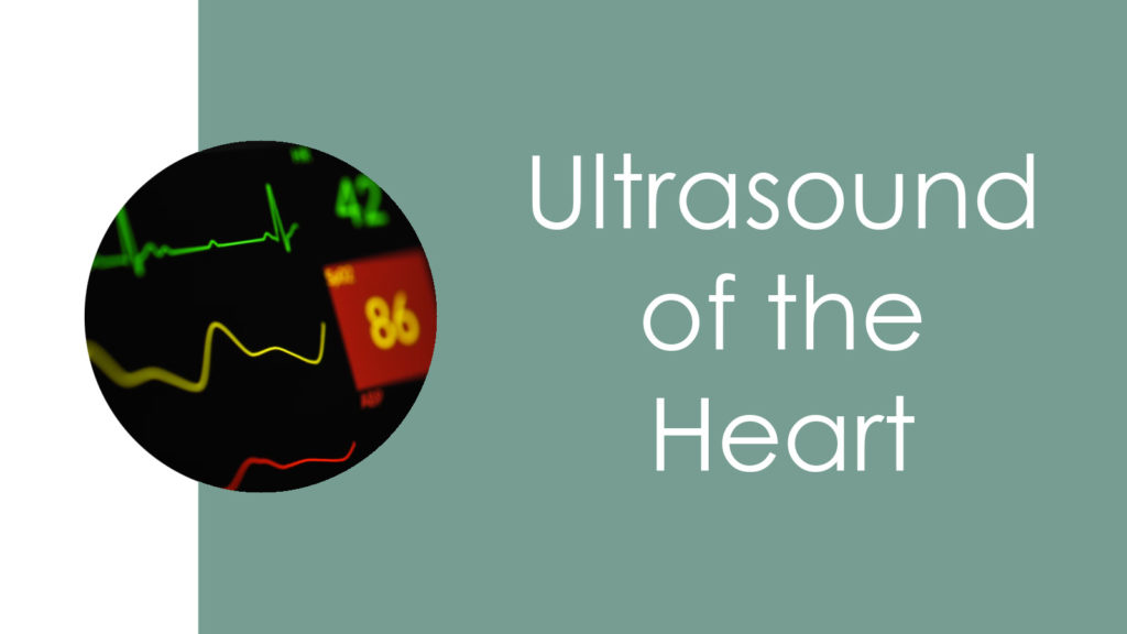 Ultrasound of the Heart2